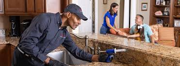 Best Pest Prevention Services  in USA